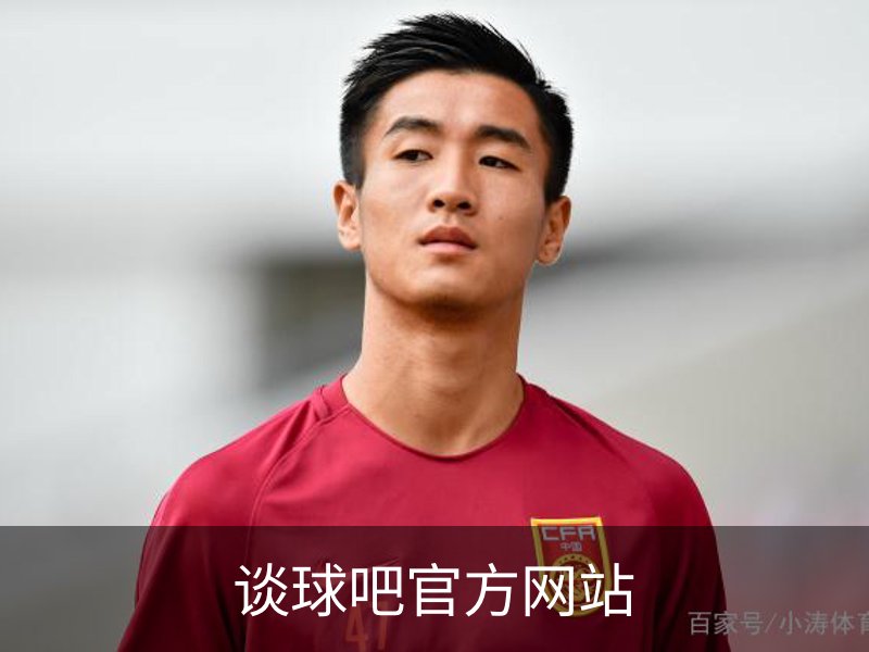 谈球吧官方网站概况